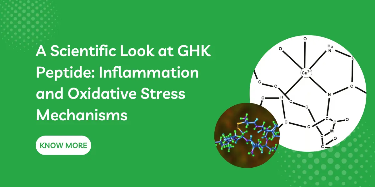 A Scientific Look at GHK Peptide: Inflammation and Oxidative Stress Mechanisms