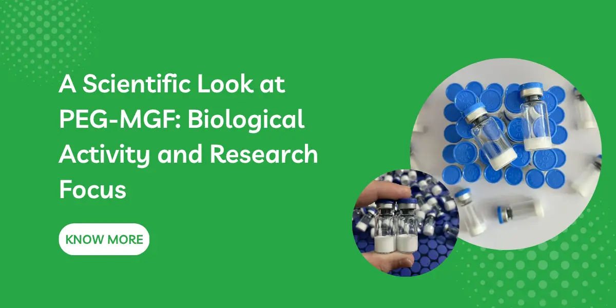 A Scientific Look at PEG-MGF: Biological Activity and Research Focus