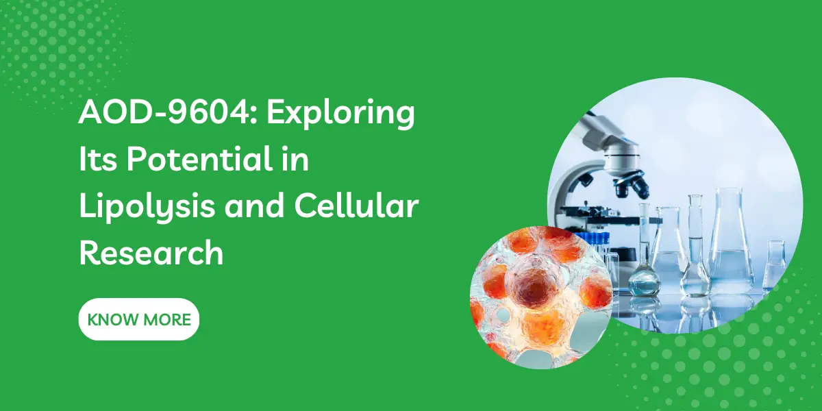 AOD-9604: Exploring Its Potential in Lipolysis and Cellular Research