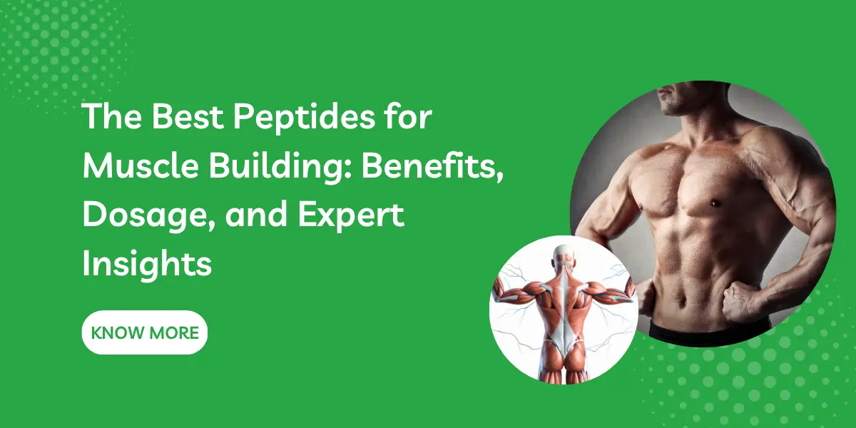 The Best Peptides for Muscle Building