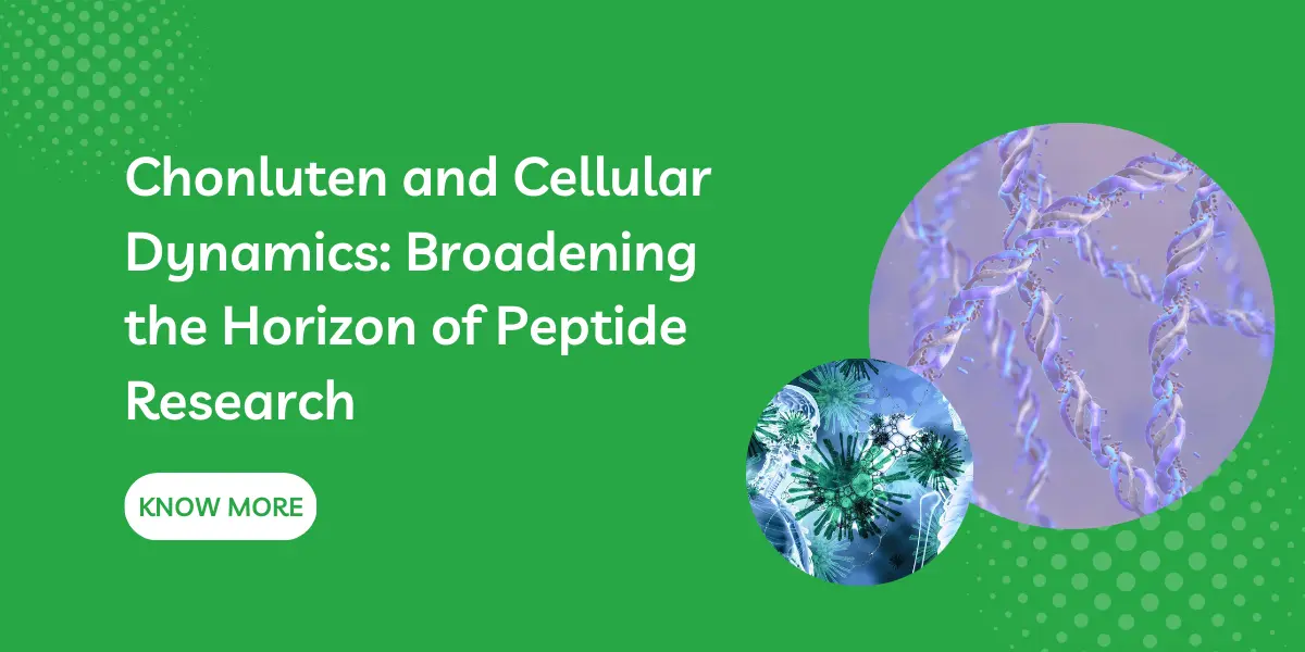 Chonluten and Cellular Dynamics: Broadening the Horizon of Peptide Research