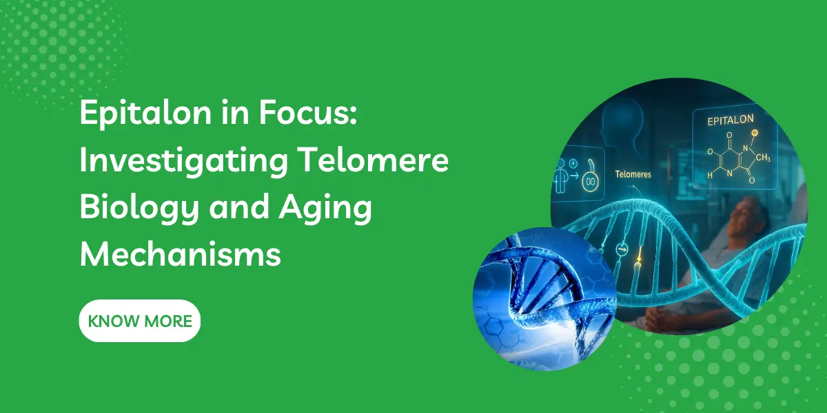 Epitalon in Focus: Investigating Telomere Biology and Aging Mechanisms