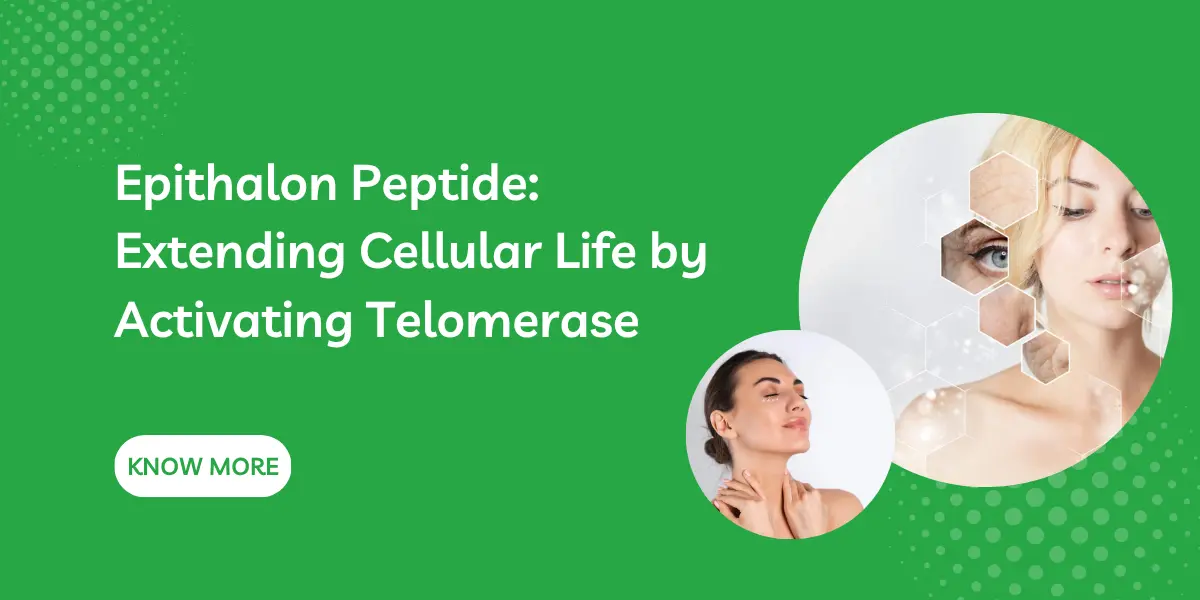 Epithalon Peptide: Extending Cellular Life by Activating Telomerase
