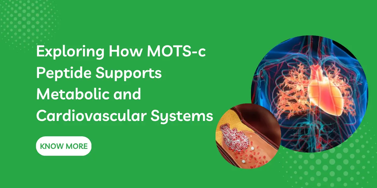 Exploring How MOTS-c Peptide Supports Metabolic and Cardiovascular Systems