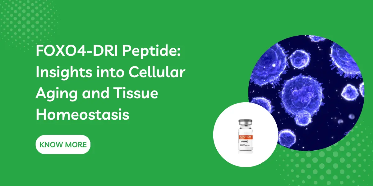 FOXO4-DRI Peptide: Insights into Cellular Aging and Tissue Homeostasis