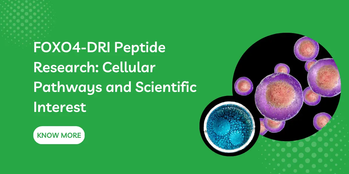 FOXO4-DRI Peptide Research: Cellular Pathways and Scientific Interest