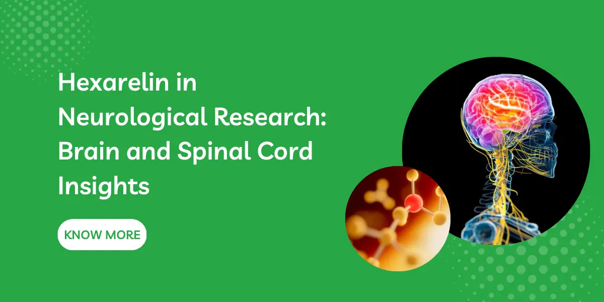 Hexarelin in Neurological Research: Brain and Spinal Cord Insights