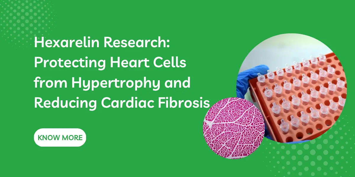 Hexarelin Research: Protecting Heart Cells from Hypertrophy and Reducing Cardiac Fibrosis
