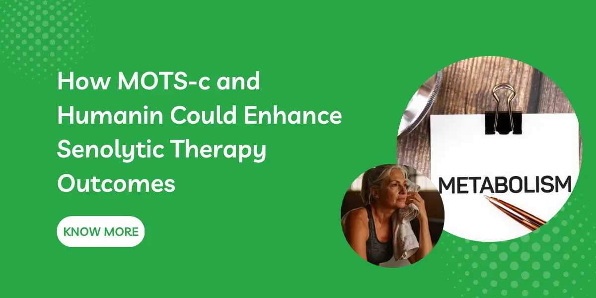 How MOTS-c and Humanin Could Enhance Senolytic Therapy Outcomes