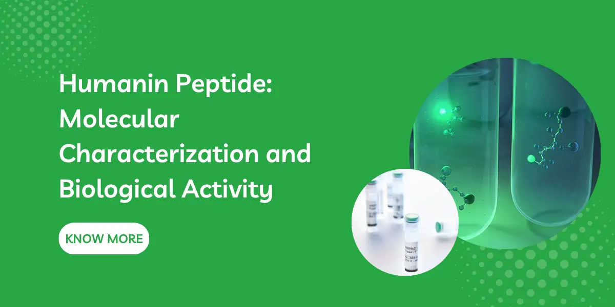 Humanin Peptide: Molecular Characterization and Biological Activity