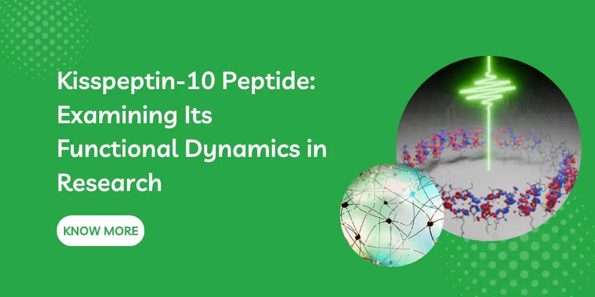 Kisspeptin-10 Peptide: Examining Its Functional Dynamics in Research