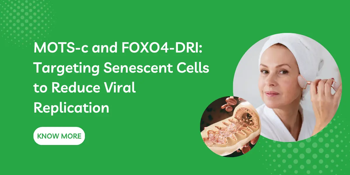 MOTS-c and FOXO4-DRI: Targeting Senescent Cells to Reduce Viral Replication