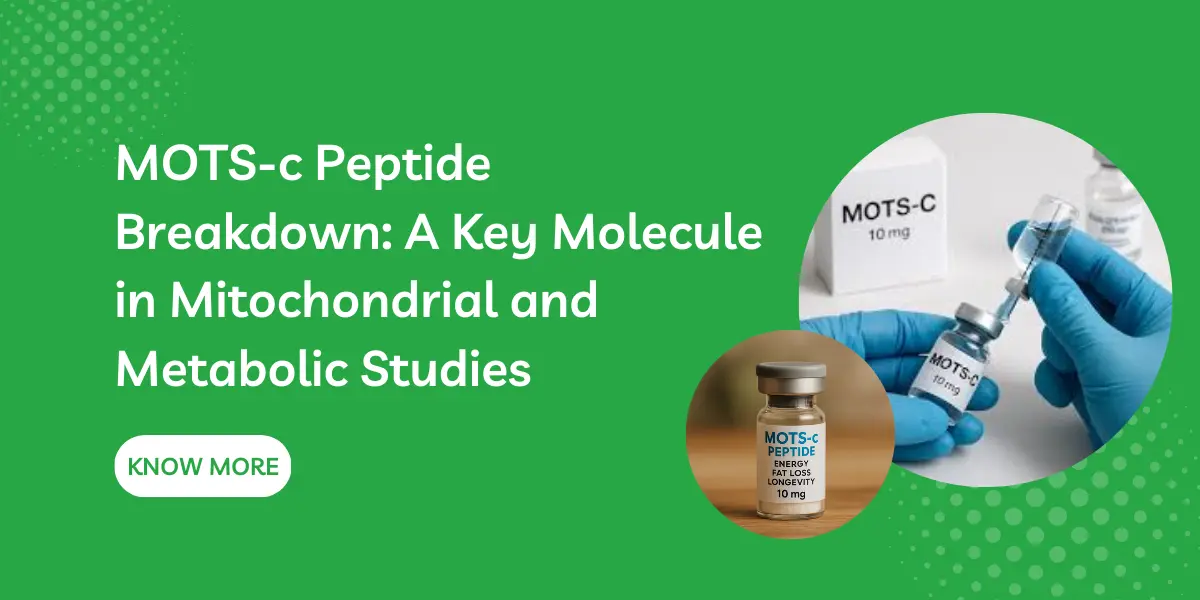 MOTS-c Peptide Breakdown: A Key Molecule in Mitochondrial and Metabolic Studies