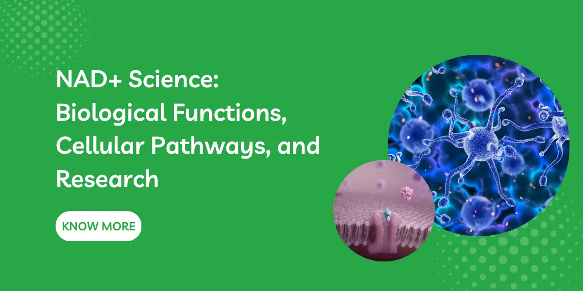 NAD+ Science: Biological Functions, Cellular Pathways, and Research