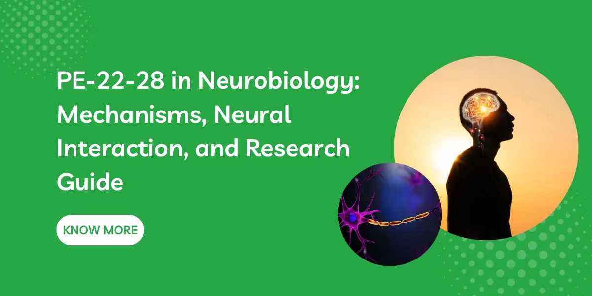 PE-22-28 in Neurobiology: Mechanisms, Neural Interaction, and Research Guide