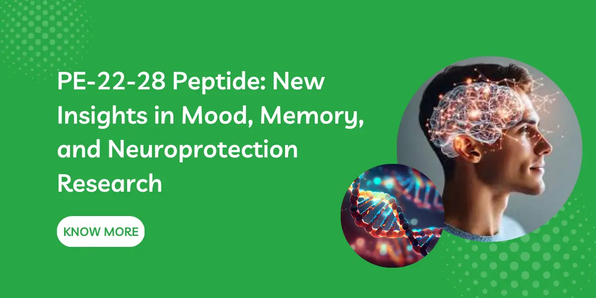 PE-22-28 Peptide: New Insights in Mood, Memory, and Neuroprotection Research