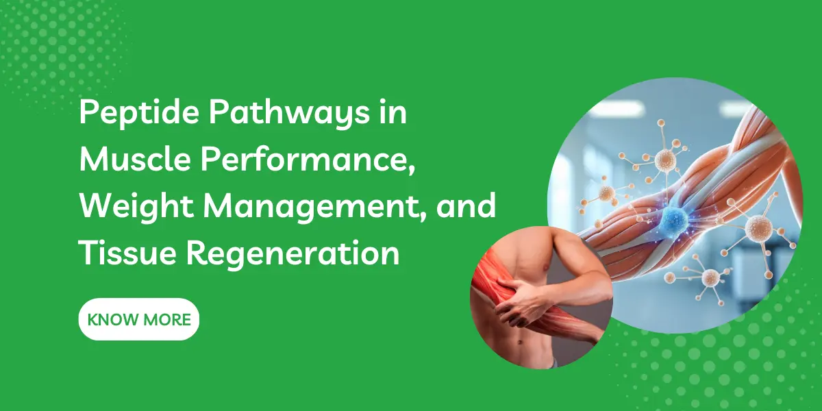 Peptide Pathways in Muscle Performance, Weight Management, and Tissue Regeneration