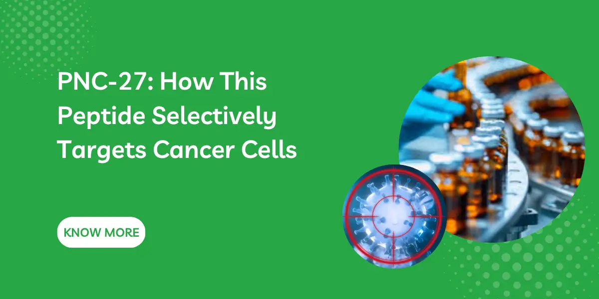 PNC-27: How This Peptide Selectively Targets Cancer Cells