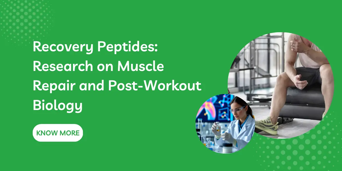 Recovery Peptides: Research on Muscle Repair and Post-Workout Biology