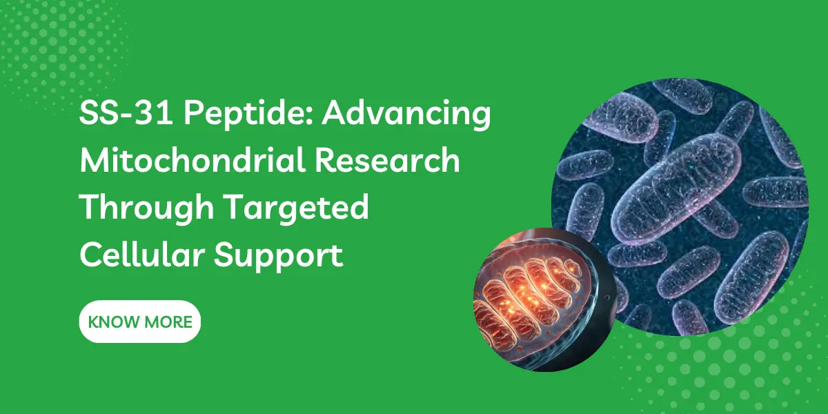 SS-31 Peptide: Advancing Mitochondrial Research Through Targeted Cellular Support