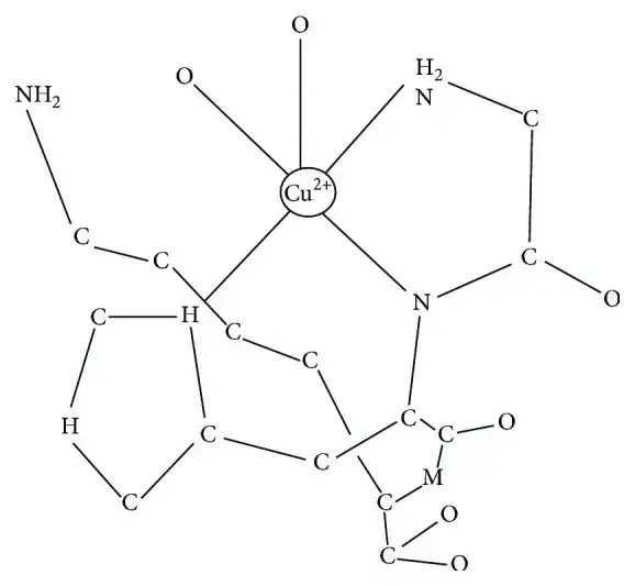 GHK-Cu: The Copper Peptide