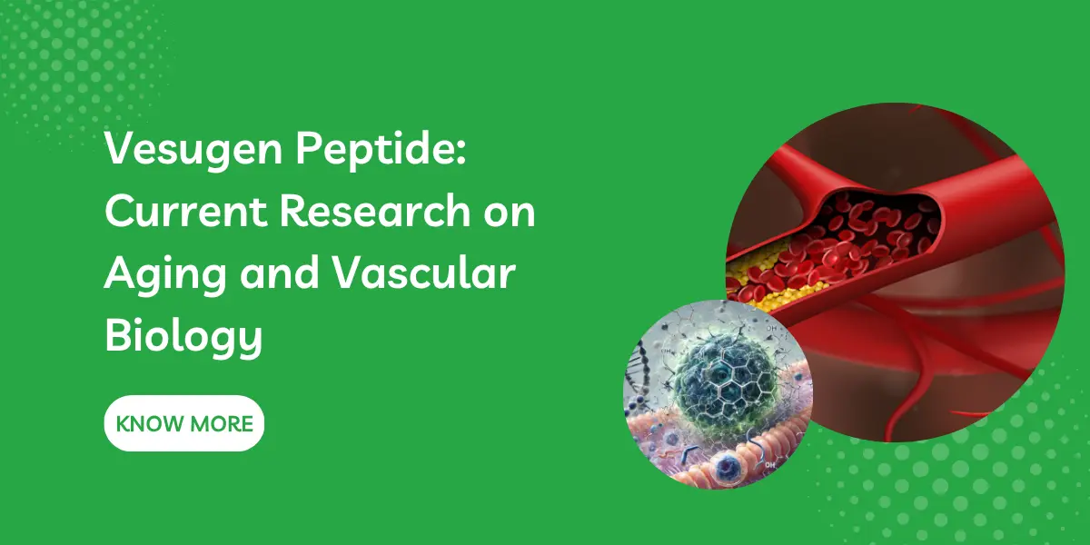 Vesugen Peptide: Current Research on Aging and Vascular Biology